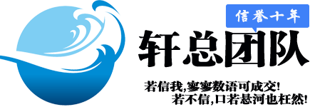 轩总团队
